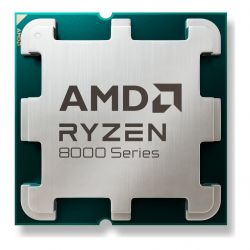 ryzen 100 000001591