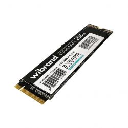 wibrand wim.2ssd ca256gb