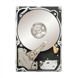 seagate_st91000640ns