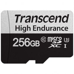 transcend ts256gusd350v