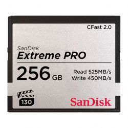 sandisk sdcfsp 256g g46d