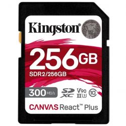 kingston sdr2 256gb