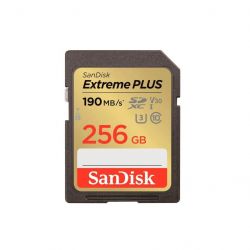 sandisk sdsdxwv 256g gncin