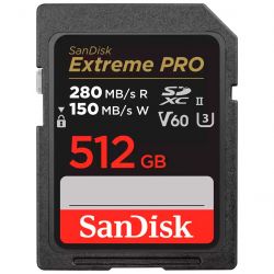 sandisk sdsdxep 512g gn4in