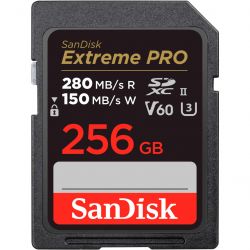 sandisk sdsdxep 256g gn4in
