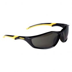 dewalt dpg96 2d