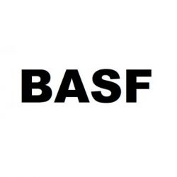 basf kt cf259x woc