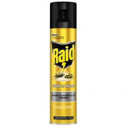 raid 5010182990728