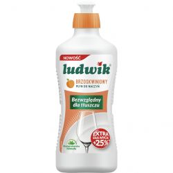 ludwik 5900498028249