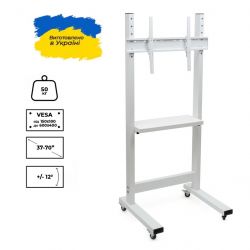 sector t6 white