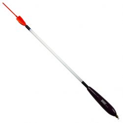 brain fishing 1858.60.37