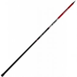 brain fishing 1858.41.84