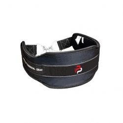 powerplay pp 3095