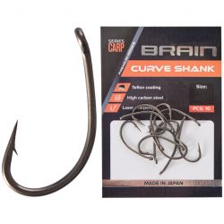 brain 1858.80.13 1