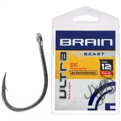 brain 1858.52.47 1