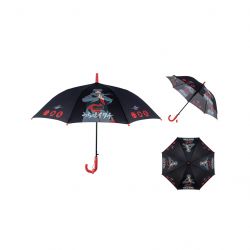 kite nr24 2001