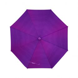 kite k24 2001 1