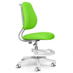 ergokids y 507 lite kz