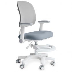 mealux y 309 dbg