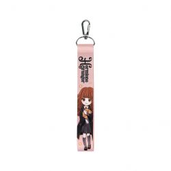 kite hp23 3000 3