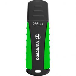 transcend ts256gjf810