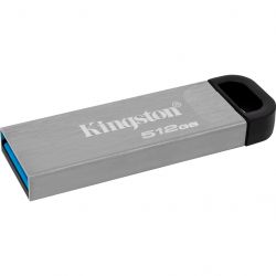 kingston dtkn 512gb