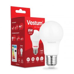 vestum 1 vs 1107