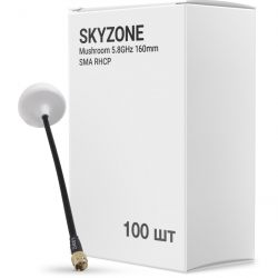 skyzone at5gbox100