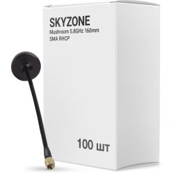 skyzone at5g8box100