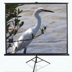 elite screens t84uwv1