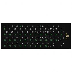 xoko xk kb stck sm