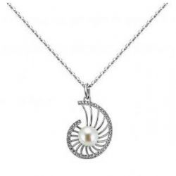 misaki qcupnautiluswh