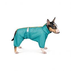 pet fashion 4823082425839