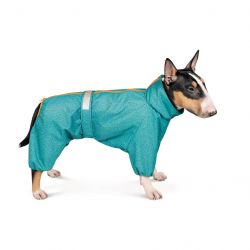 pet fashion 4823082425792
