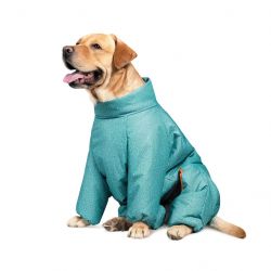 pet fashion 4823082425303