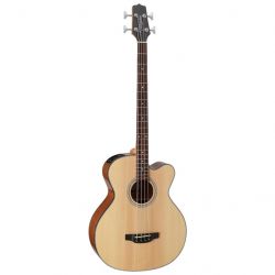 takamine 234764