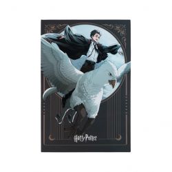 kite hp25 194 2