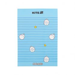 kite ml25 194 1
