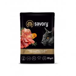 savory 4820261920109