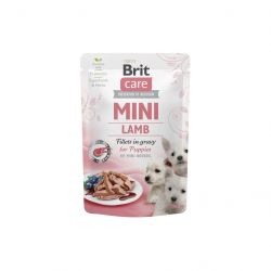 brit care 8595602560318