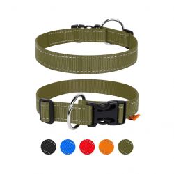 dog extreme 015731