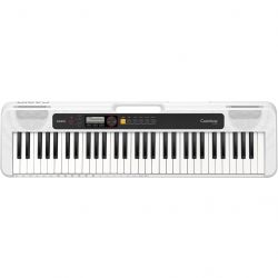 casio 222029