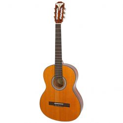 epiphone 228188