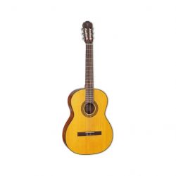 takamine 228885