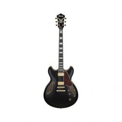 ibanez 236146
