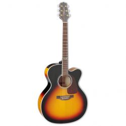 takamine 219477