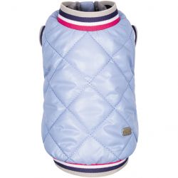 pet fashion 4823082430239