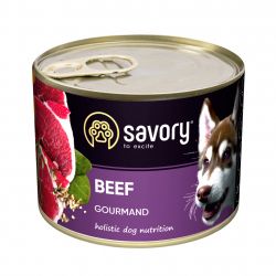 savory 4820232630426
