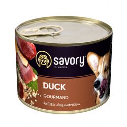 savory 4820232630464