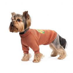 pet fashion 4823082434732